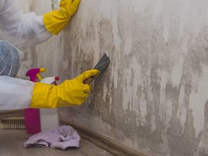 person with yellow gloves fixing wall