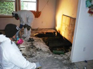 professionals doing fire Restoration