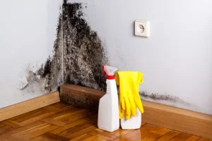 mold-remediation tools on floor and mold on wall